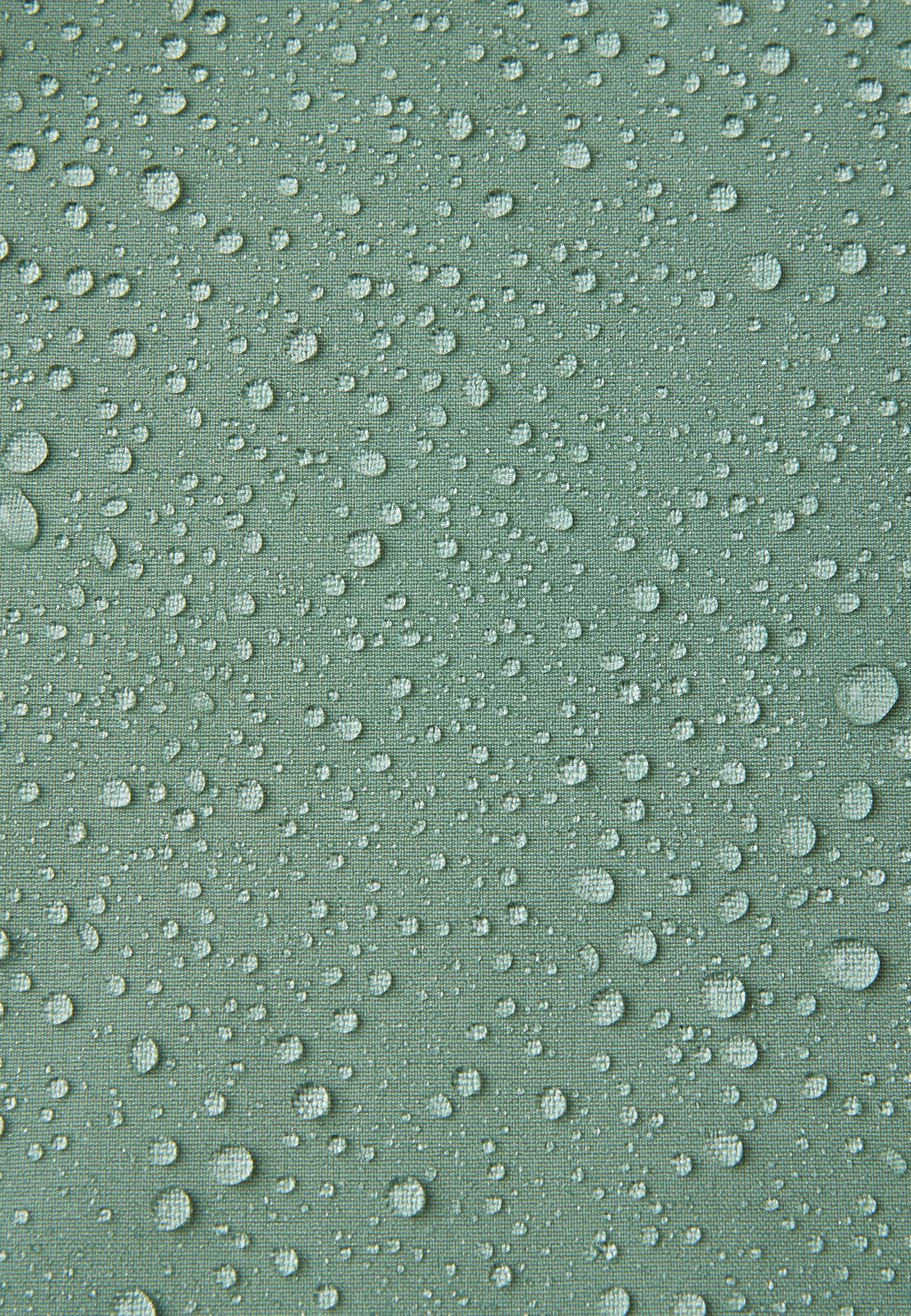 5100009C-81B0-1557_3c.jpg