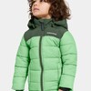 Didriksons Fox Winterjacke, Dusty Lime
