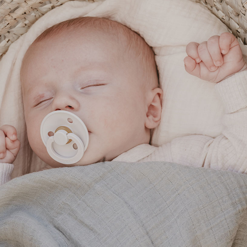 BIBS-banner-815x815-Filtar.jpg
