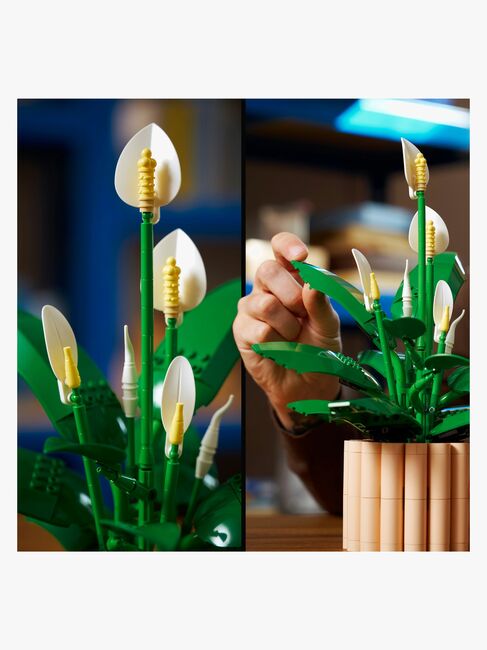 LEGO Botanicals 11504 Friedenslilie
