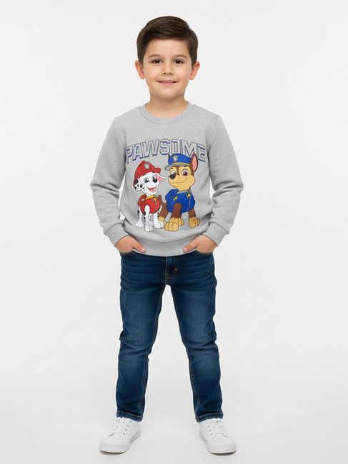 Paw Patrol Sweatshirt, Grau 2900002915-53-4656_5.jpg
