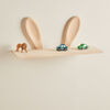 SHIDA22002-Rabbit-2675_3a.jpg