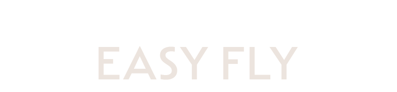 Logo mit dem Text 'EASY FLY' in Beige auf weißem Hintergrund.