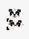 CUSHMask-432-4817_1.jpg