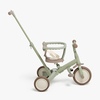 TR008-SAGEGREEN-1895_3b.jpg