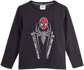 Marvel Spider-Man T-Shirt, Dark Grey