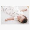 SLBSMELEPH1-1228_3b.jpg