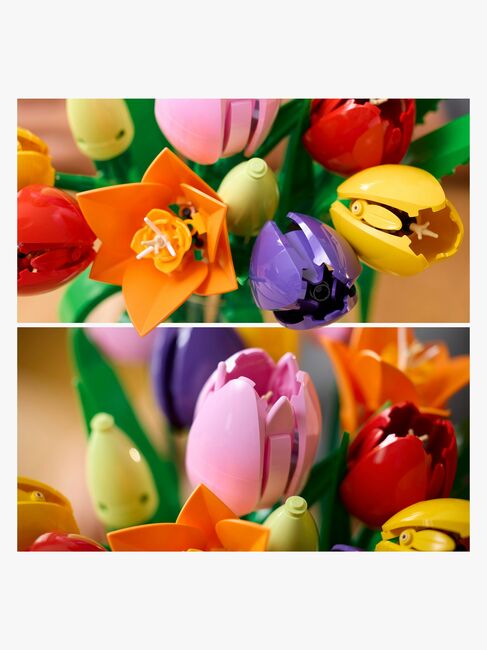 LEGO Botanicals 11501 Tulpenstrauß