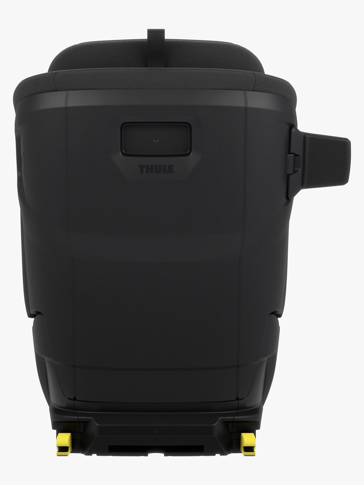 Palm-14000024-1879_3b.jpg