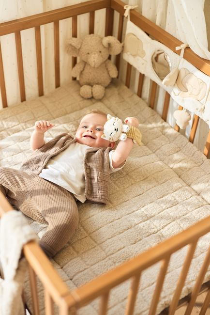 Jollein Handgelenksrassel, Charlie Cat