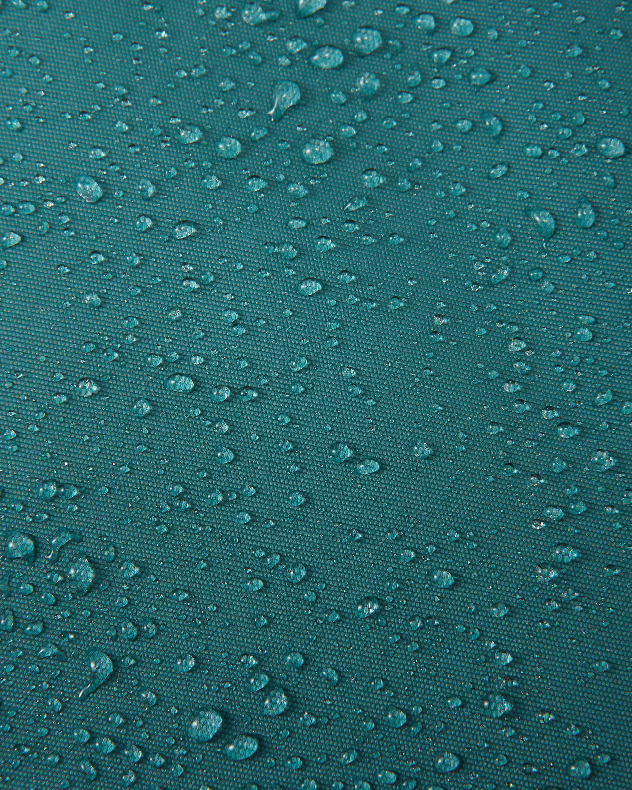 5100124A-7950-1557_4g.jpg