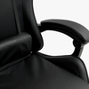 2002663_D-395T-BLACK-3077_3b.jpg