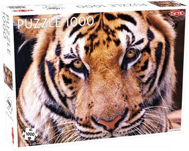 Tactic Puzzle Tiger Portrait 1000 Teile