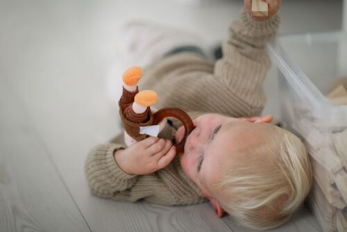 Willi Wiberg Beißspielzeug mit Naturkautschuk-Ring