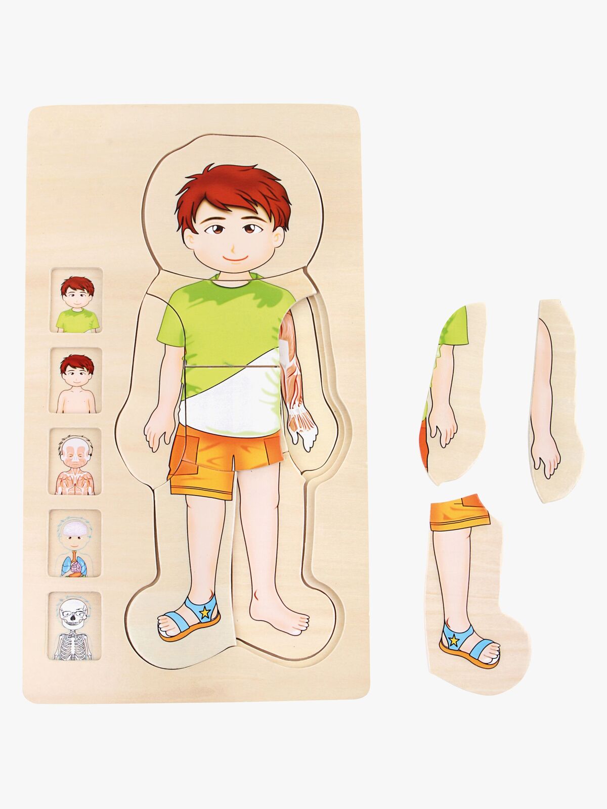 Small Foot Puzzle Anatomie, Grün