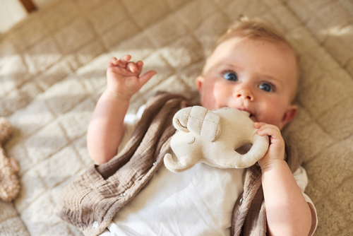 Jollein Rassel, Elephant Tales