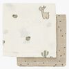 MUSLIN65-3053369-2173_2.jpg