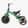 T10-B-Green-1895_3c.jpg