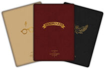 Harry Potter Notizbuch 3er-Pack