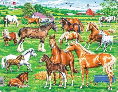 Larsen Puzzle Wunderschöne Pferde, 33 Teile