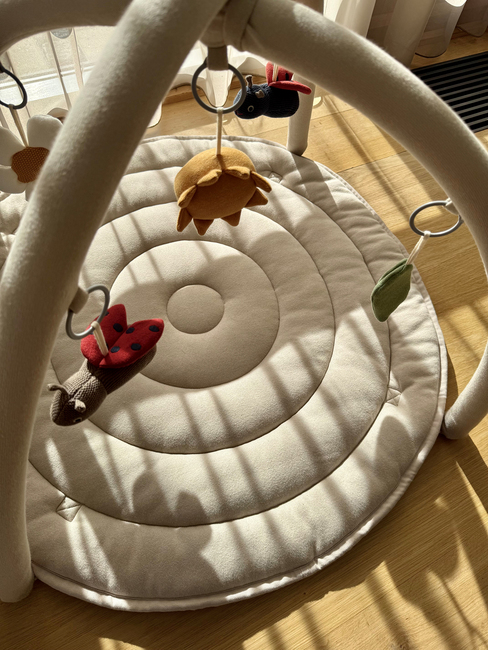 Vanilla Copenhagen Ladybug Spielbogen, Oyster