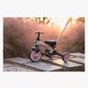 T80-Pink-1895_4a.jpg