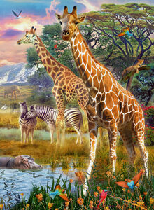 Ravensburger Puzzle Giraffen in Afrika 150 Teile