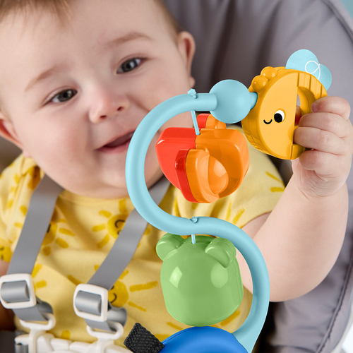 Fisher-Price Aktivitätsspielzeug Saugnapf