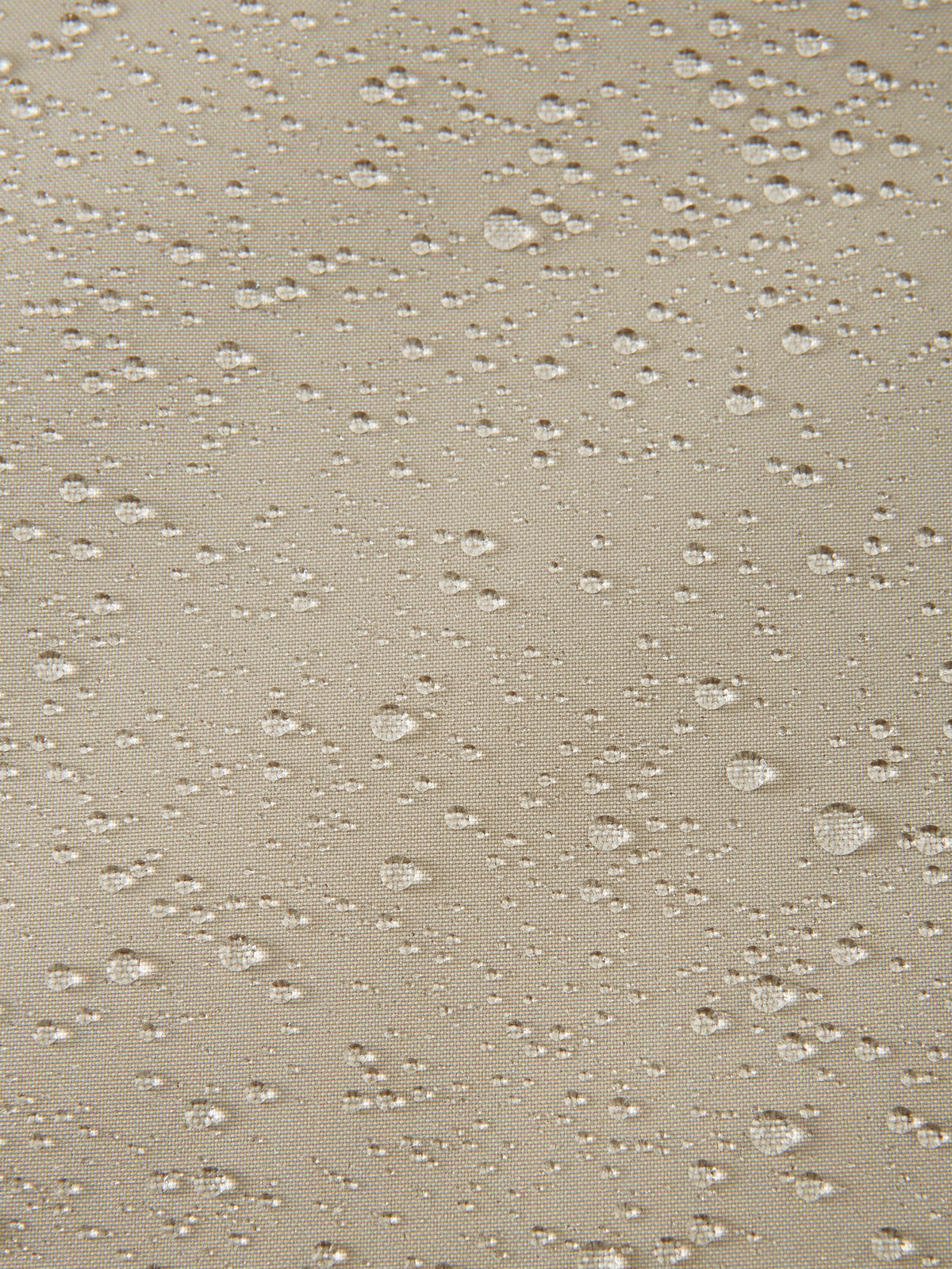 5100479A-39BA-1557_4h.jpg