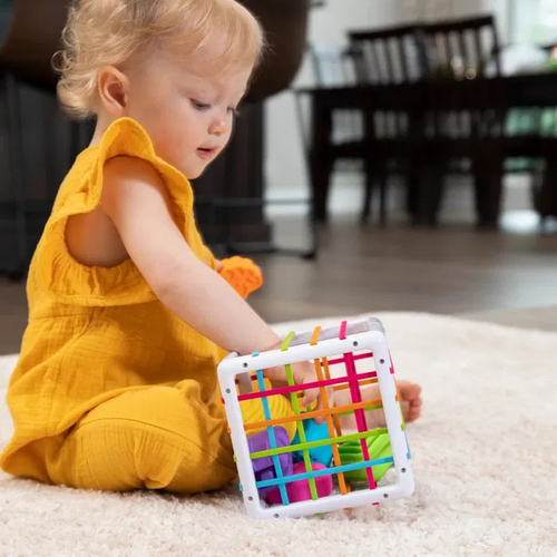 FatBrain Aktivitätsspielzeug Inny Bin