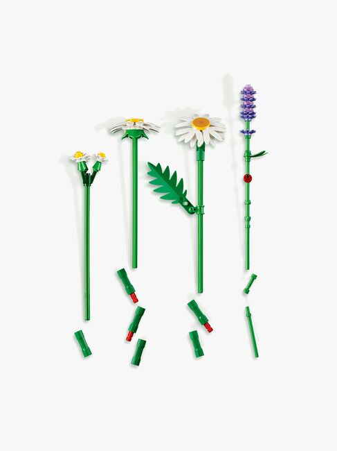 LEGO Botanicals 11508 Gänseblümchen