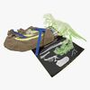 Toyrock Steam Fossilien-Set T-rex Glow In The Dark