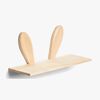 SHIDA22002-Rabbit-2675_1.jpg