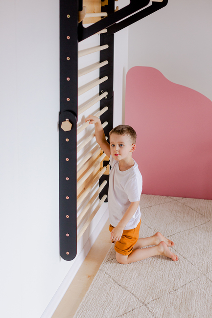 Duck Woodworks Kletterdreieck Wand, Schwarz
