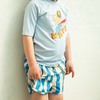 557267450-Wavylion-2911_4a.jpg