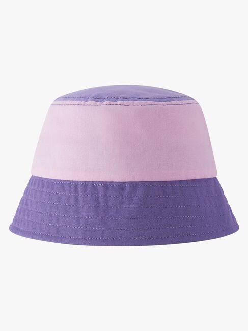 Reima Siimaa Sonnenhut, Misty Violet