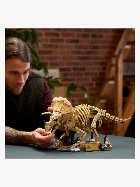 77985-1379_3c.jpg