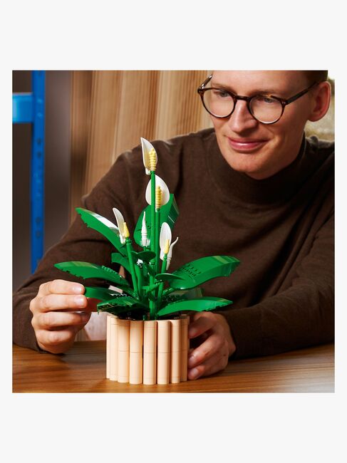 LEGO Botanicals 11504 Friedenslilie