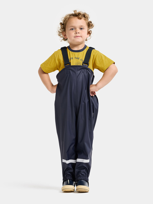 Didriksons Slaskeman Regenset, Le rand blue