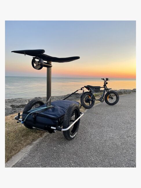Thule Reacha Sport Transportwagen
