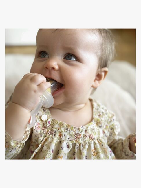 Le Toft Fruchtsauger mit Mini-Eiswürfelform, Rose