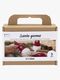 Creativ Company Bastelset Nikolaus-Zwerg DIY