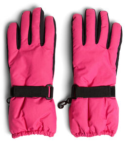 Nordbjørn Slope Pro Handschuhe, Pink