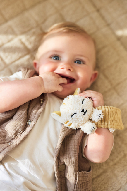 Jollein Handgelenksrassel, Charlie Cat