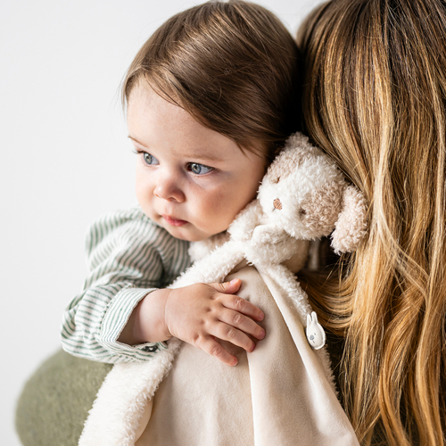 Nattou Teddy Schmusetuch Hund, Vanilla