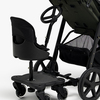 BuggyBuddy-2165_3l.jpg