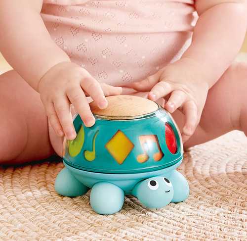 Hape Twist & Tune Aktivitätsspielzeug Schildkröte