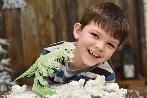 Toyrock Steam Fossilien-Set T-rex Glow In The Dark