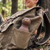 SBV44-BROWNBEAR-4840_4a.jpg