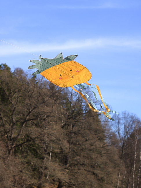 Jabadabado Drachen Ananas